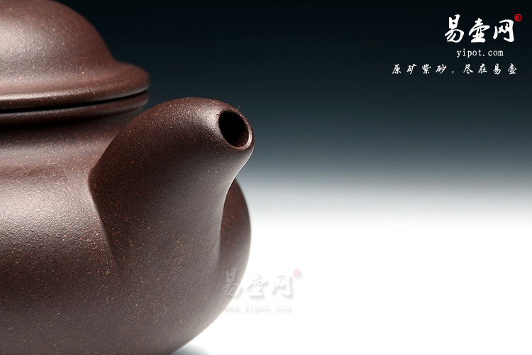 宜兴紫砂壶名家：徐俊英紫砂壶扁灯图片