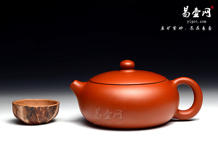 杨立平扁西施壶图片