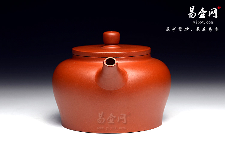  杨立平雅玉壶图片