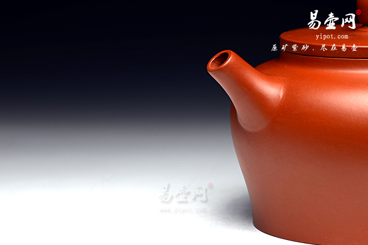  杨立平雅玉壶图片