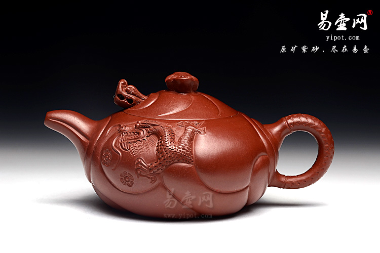 周小华鱼化龙图片