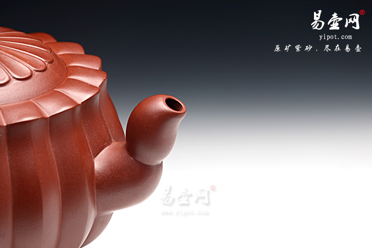 宜兴紫砂陶艺名家：冯盘军《蜂菊》紫砂壶图片