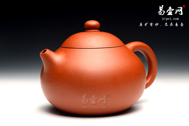 余志平紫砂壶，朱泥文旦壶图片，紫砂壶开壶，紫砂壶名家
