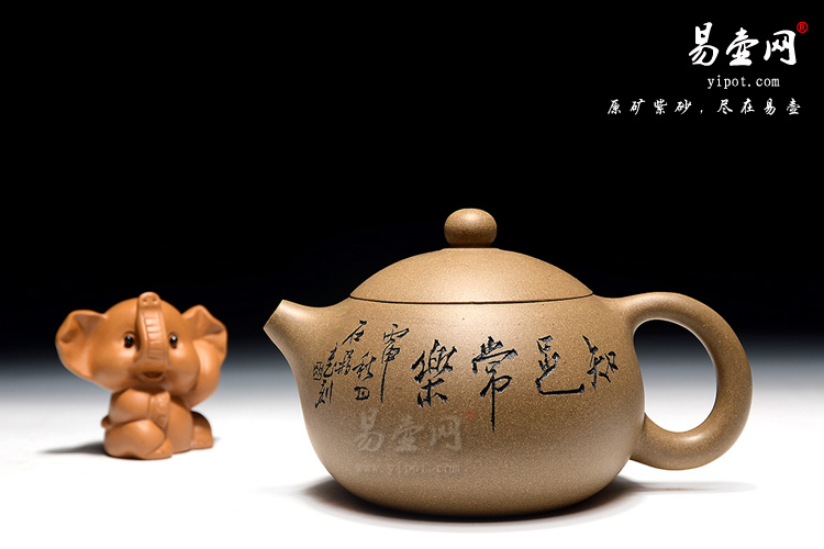 吴秋平老师的小玉乳紫砂壶图片