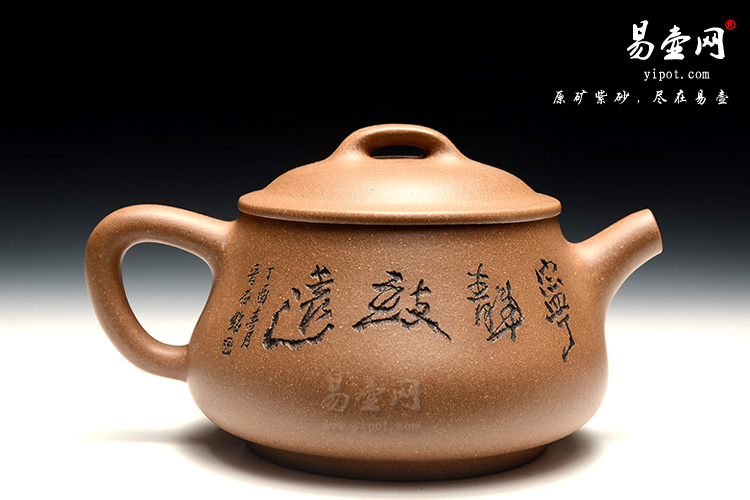 宜兴民间艺人紫砂壶，范跃萍紫砂壶，饮瓢壶图片