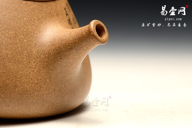 宜兴紫砂壶，范建鹏紫砂壶，石瓢壶图片