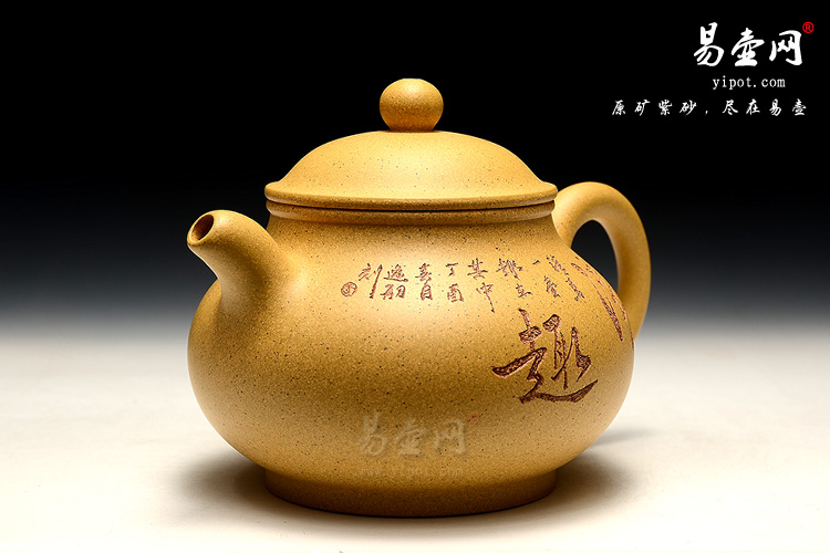 杨立平芝麻段泥潘壶照片