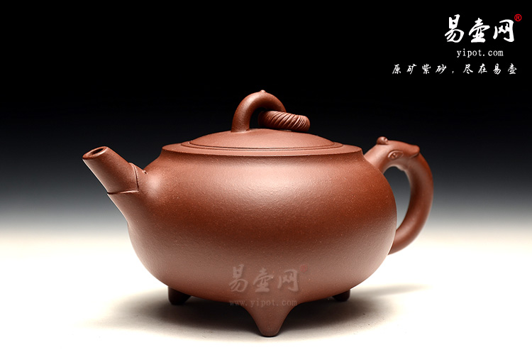 冯盘军紫砂壶：龙腾壶图片