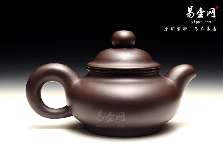 宜兴紫砂陶艺名家：徐俊英扁灯壶图片