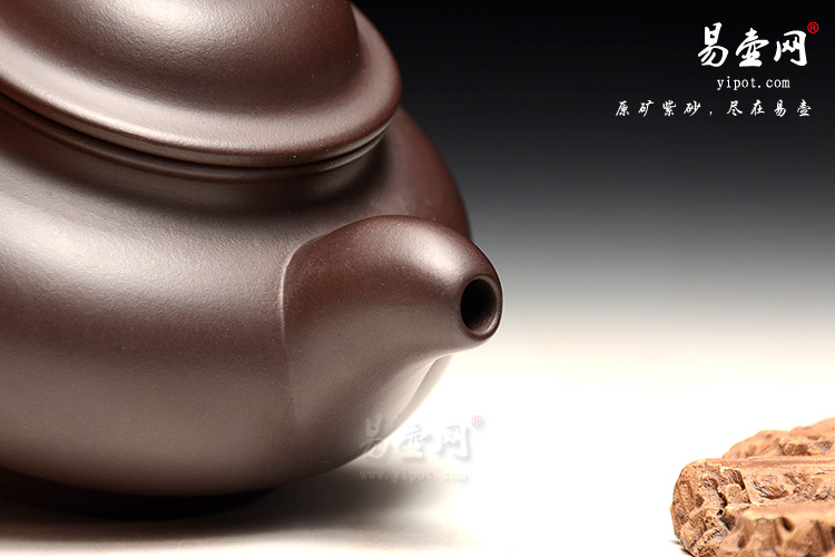 宜兴紫砂陶艺名家：徐俊英扁灯壶图片