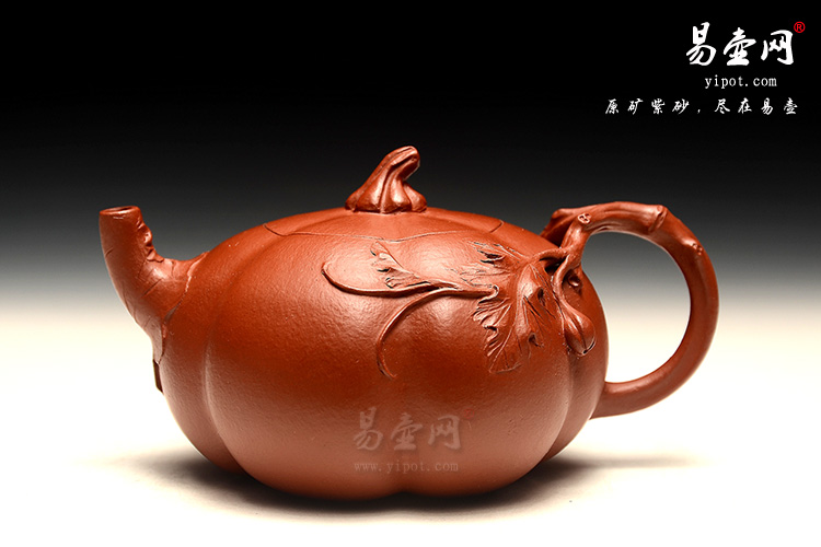 杨尚坤南瓜壶图片