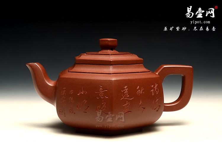 陈顺根紫砂壶，雪华壶图片